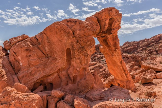 USA | Südwesten | Nevada | Valley of Fire State Park | Elephant Rock