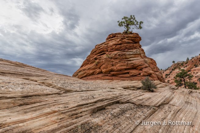 USA | Südwesten | Utah | Zion National Park