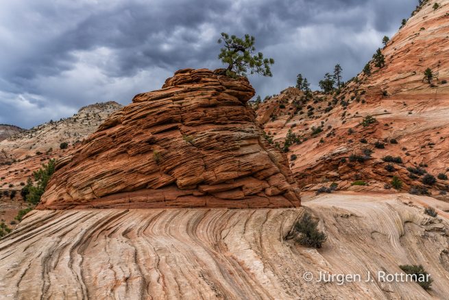 USA | Südwesten | Utah | Zion National Park