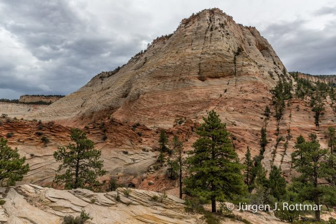 USA | Südwesten | Utah | Zion National Park