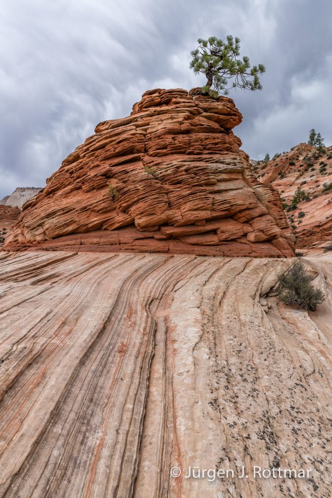 USA | Südwesten | Utah | Zion National Park