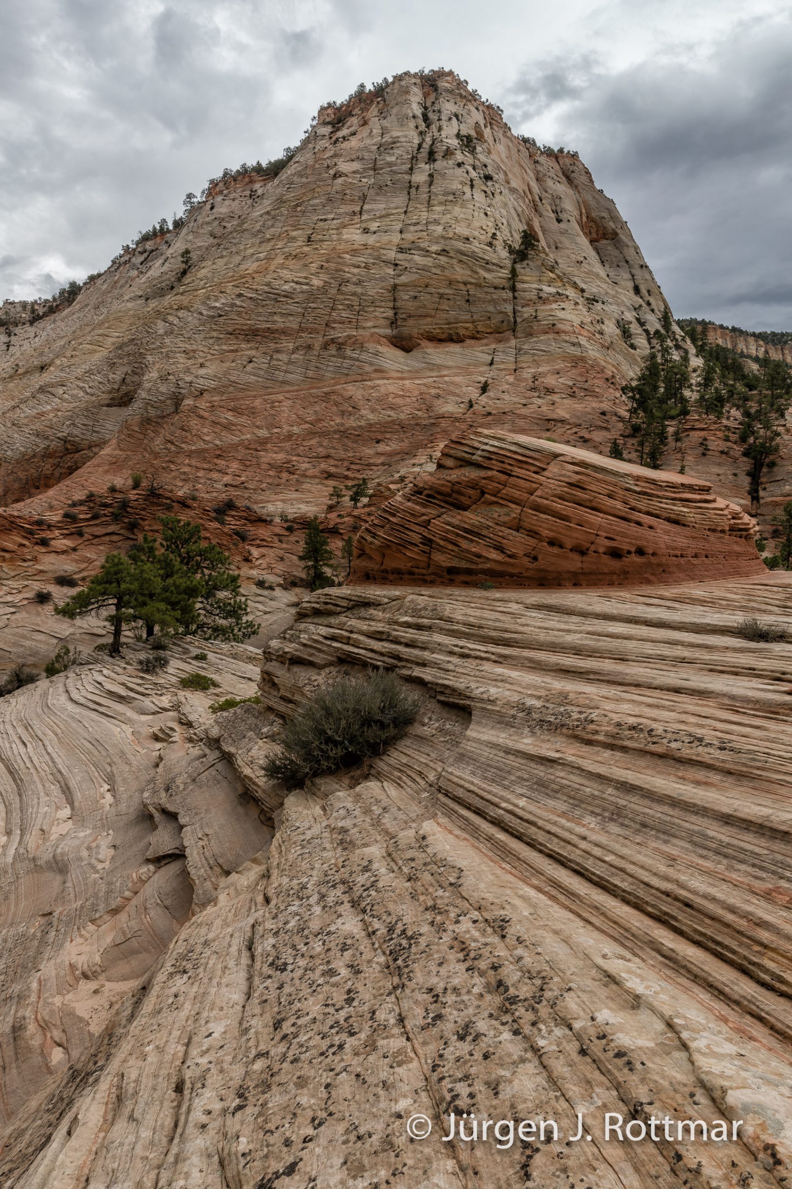 USA | Südwesten | Utah | Zion National Park