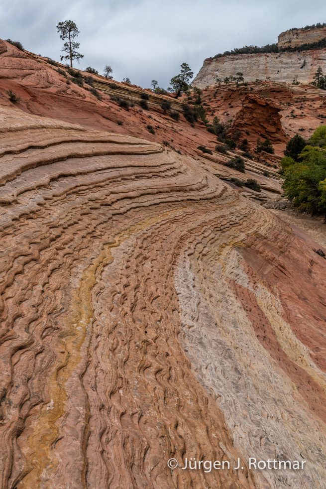 USA | Südwesten | Utah | Zion National Park
