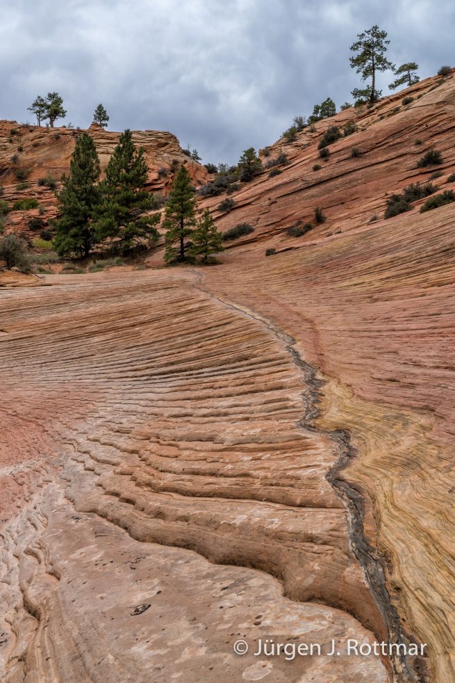 USA | Südwesten | Utah | Zion National Park