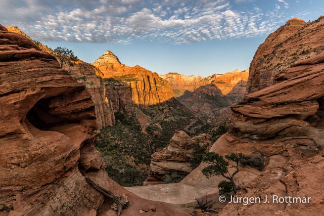 USA | Südwesten | Utah | Zion National Park | The Overlook