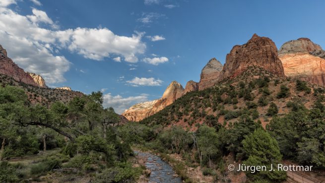 USA | Südwesten | Utah | Zion National Park | Virgin River