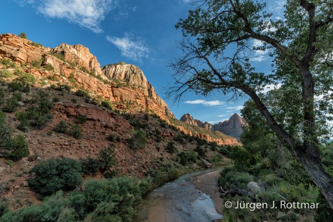 USA | Südwesten | Utah | Zion National Park | Virgin River