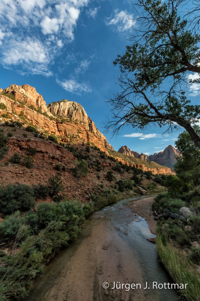USA | Südwesten | Utah | Zion National Park | Virgin River