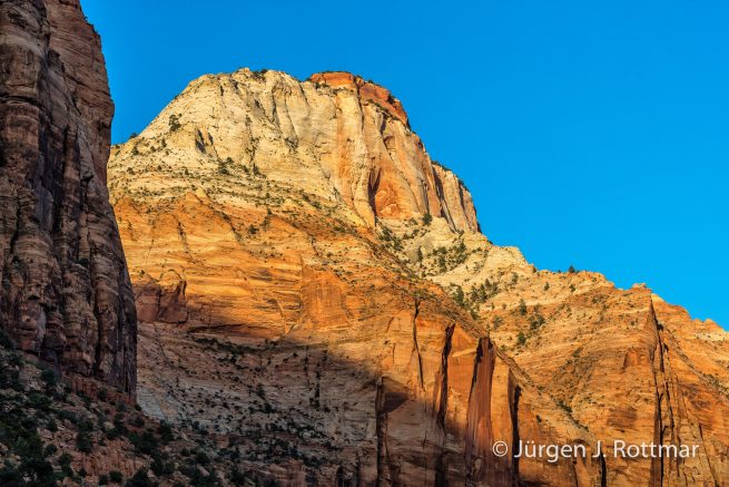 USA | Südwesten | Utah | Zion National Park