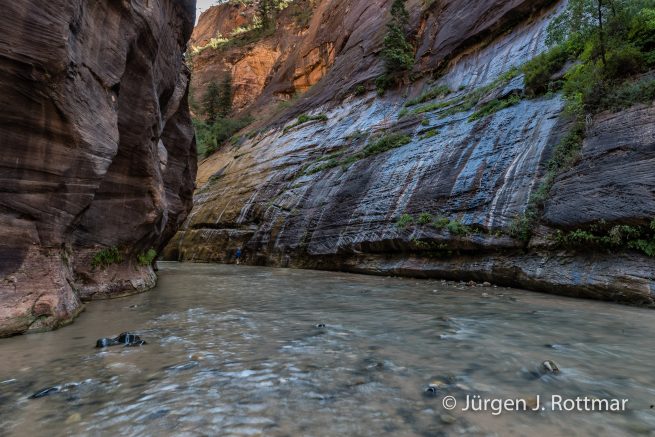USA | Südwesten | Utah | Zion National Park | The Narrow
