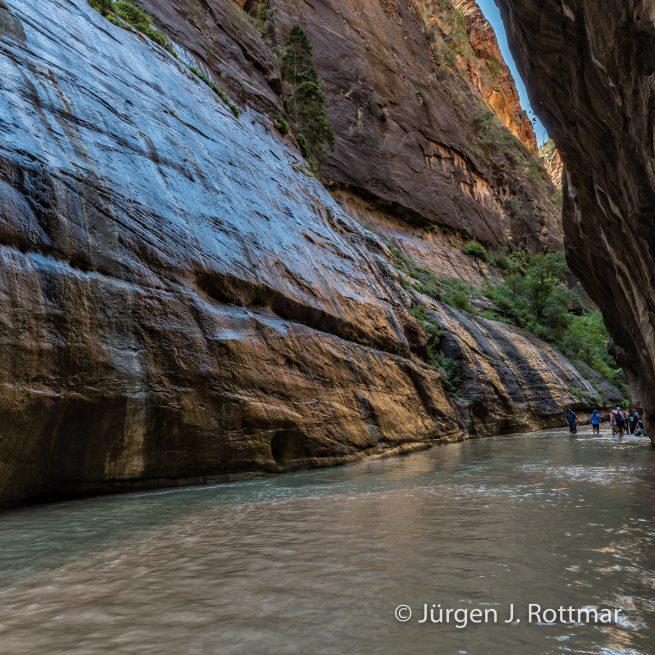 USA | Südwesten | Utah | Zion National Park | The Narrow