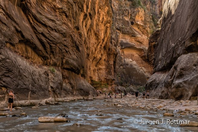 USA | Südwesten | Utah | Zion National Park | The Narrow