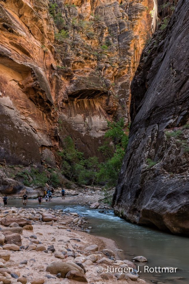 USA | Südwesten | Utah | Zion National Park | The Narrow
