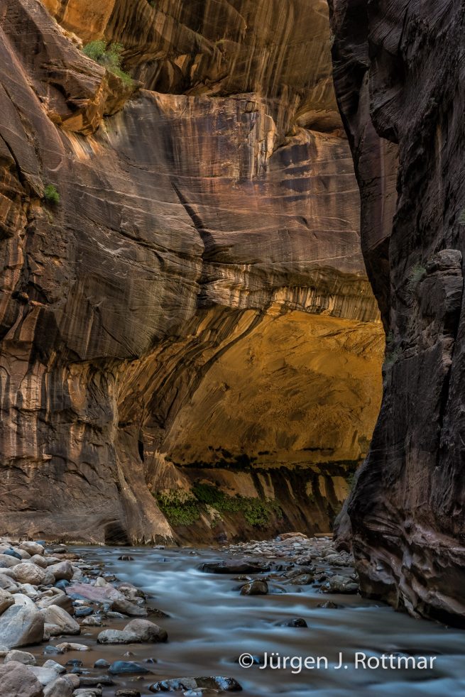 USA | Südwesten | Utah | Zion National Park | The Narrow