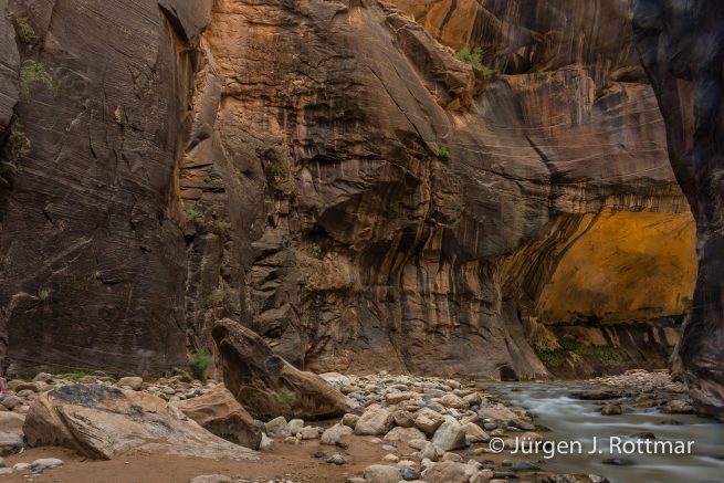 USA | Südwesten | Utah | Zion National Park | The Narrow