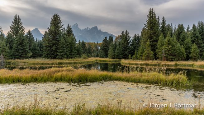 USA | Südwesten | Wyoming | Grand Teton National Park | Snake River | Schwabacher Landing with Teton Range