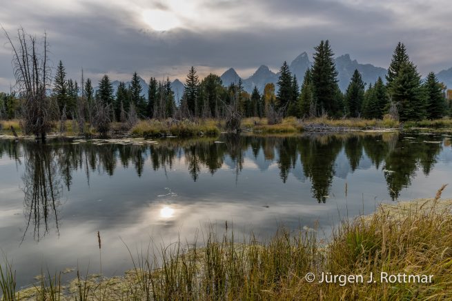 USA | Südwesten | Wyoming | Grand Teton National Park | Snake River | Schwabacher Landing with Teton Range