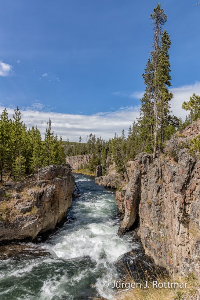 USA | Südwesten | Wyoming | Yellowstone National Park | Madison Campground