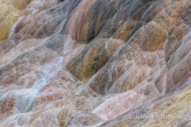 USA | Südwesten | Wyoming | Yellowstone National Park | Mammoth Hotsprings