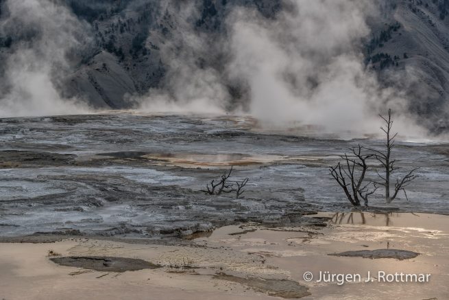 USA | Südwesten | Wyoming | Yellowstone National Park | Mammoth Hot Springs