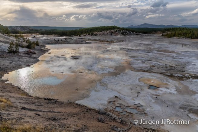 USA | Südwesten | Wyoming | Yellowstone National Park | Norris Geyser Bassin