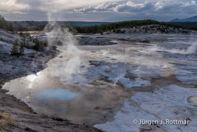 USA | Südwesten | Wyoming | Yellowstone National Park | Norris Geyser Bassin