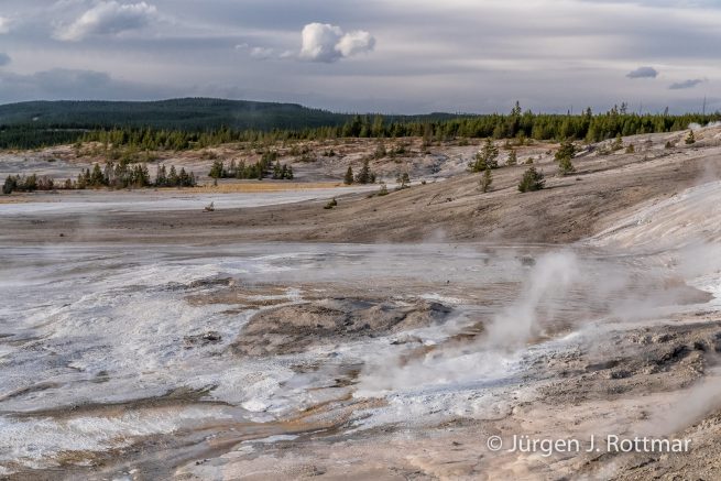USA | Südwesten | Wyoming | Yellowstone National Park | Norris Geyser Bassin