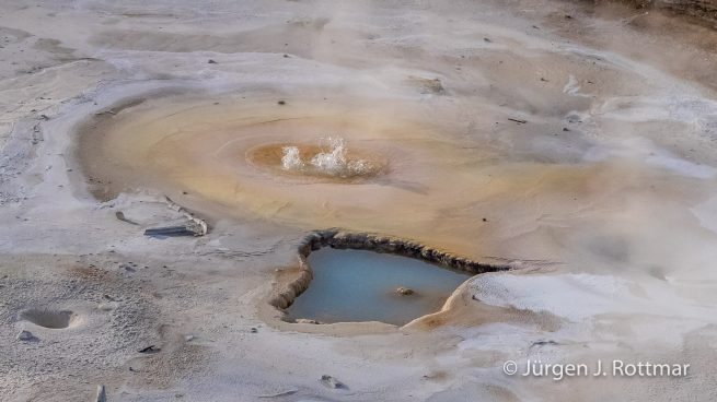 USA | Südwesten | Wyoming | Yellowstone National Park | Norris Geyser Bassin