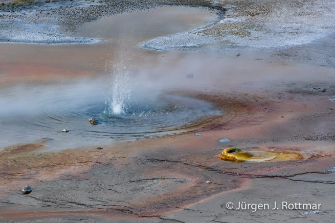 USA | Südwesten | Wyoming | Yellowstone National Park | Norris Geyser Bassin