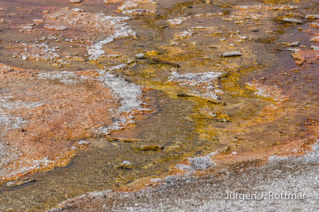 USA | Südwesten | Wyoming | Yellowstone National Park | West Thump Geyser Basin