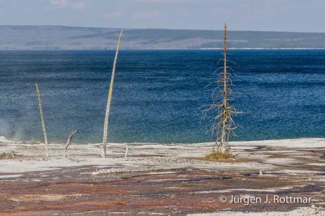 USA | Südwesten | Wyoming | Yellowstone National Park | West Thump Geyser Basin