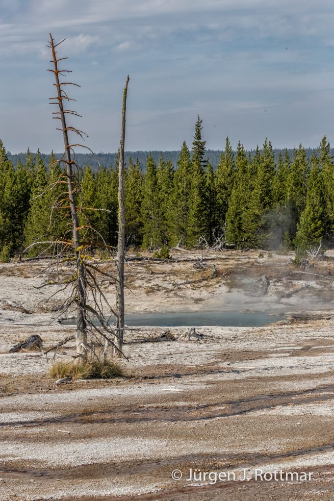 USA | Südwesten | Wyoming | Yellowstone National Park | West Thump Geyser Basin