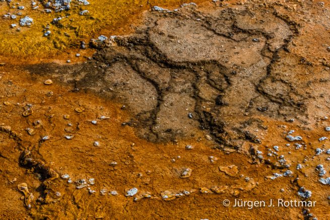 USA | Südwesten | Wyoming | Yellowstone National Park | West Thump Geyser Basin