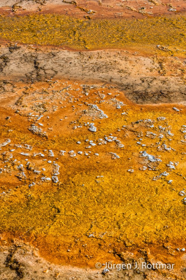 USA | Südwesten | Wyoming | Yellowstone National Park | West Thump Geyser Basin