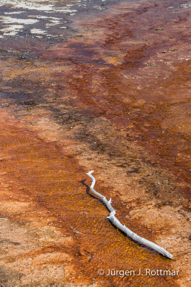 USA | Südwesten | Wyoming | Yellowstone National Park | West Thump Geyser Basin