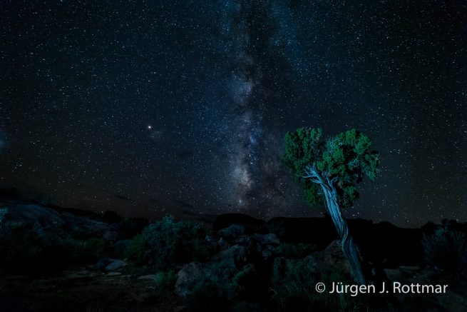 USA | Südwesten | Arizona | Grand Canyon North Rim | Toroweap Point