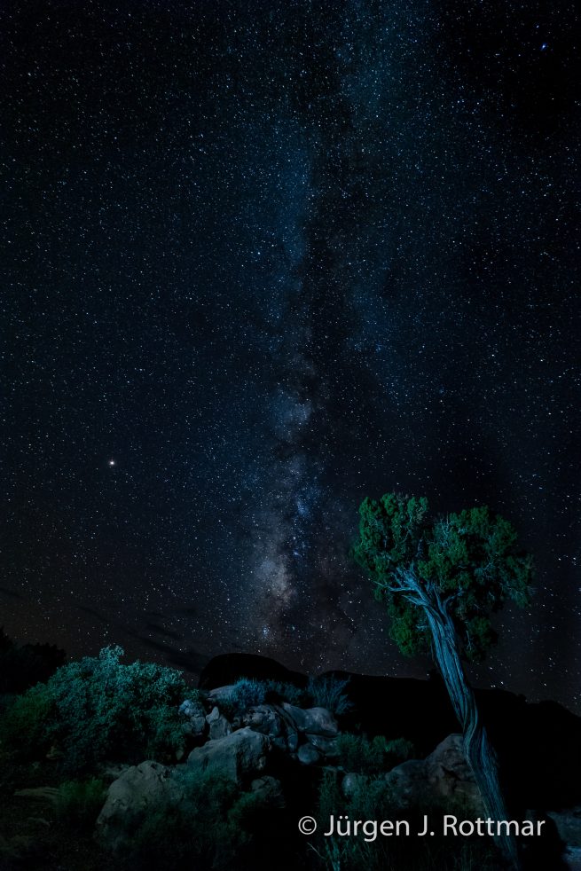 USA | Südwesten | Arizona | Grand Canyon North Rim | Toroweap Point
