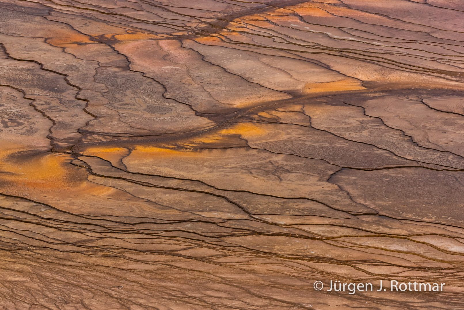 USA | Südwesten | Arizona | Yellowstone NP| Grand Prismatic Spring Overlook