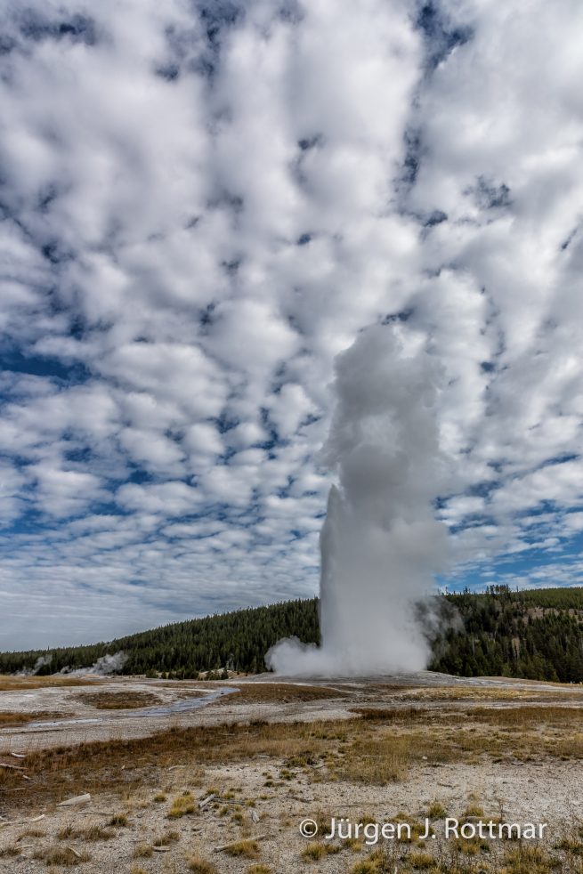 USA | Südwesten | Arizona | Yellowstone NP| Old Faithful Geyser
