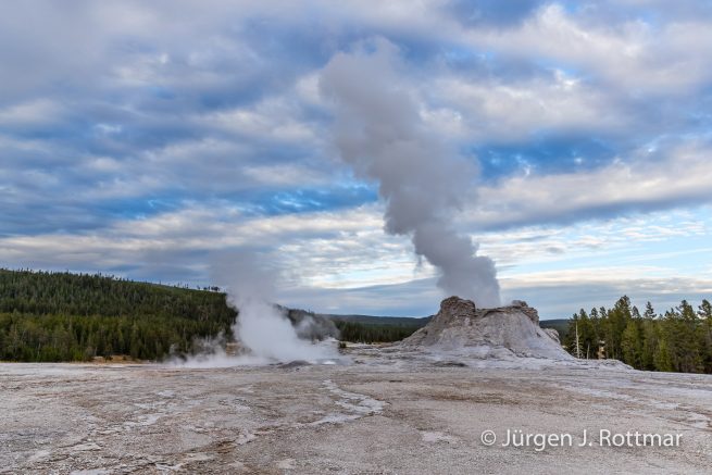 USA | Südwesten | Arizona | Yellowstone NP| Upper Geyser Basin | Castle Geyser