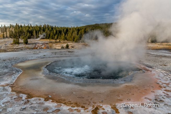 USA | Südwesten | Arizona | Yellowstone NP| Upper Geyser Basin | Crested Pool