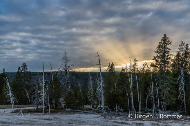 USA | Südwesten | Arizona | Yellowstone NP| Upper Geyser Basin | Firehole River