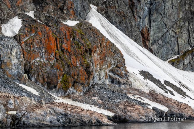 Antarctic Peninsula | Paradise Bay
