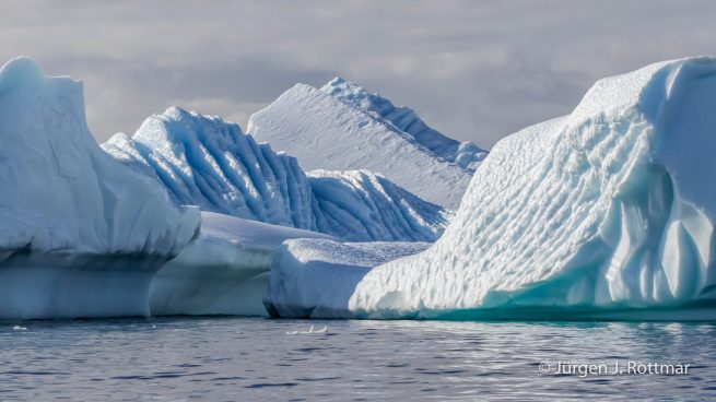 Antarctic Peninsula | Paradise Bay