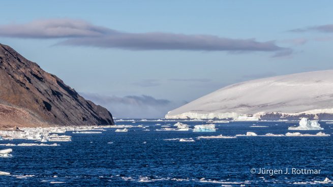 Antarctic Peninsula | Paulet Island