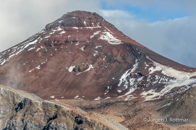 Antarctic Peninsula | Paulet Island