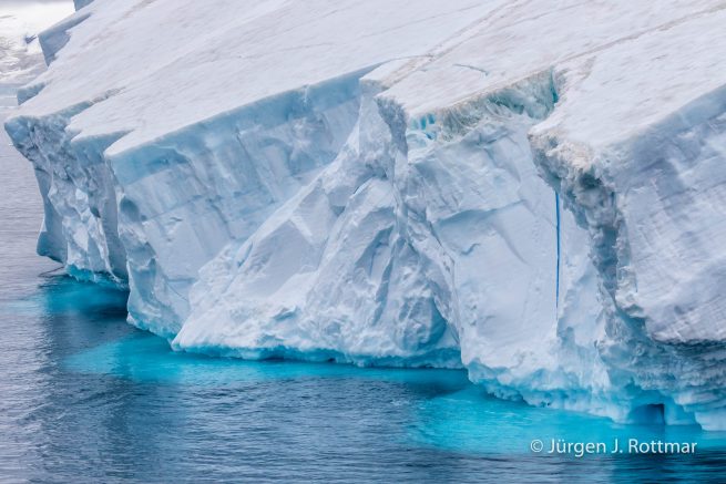 Antarctic Peninsula | Paulet Island