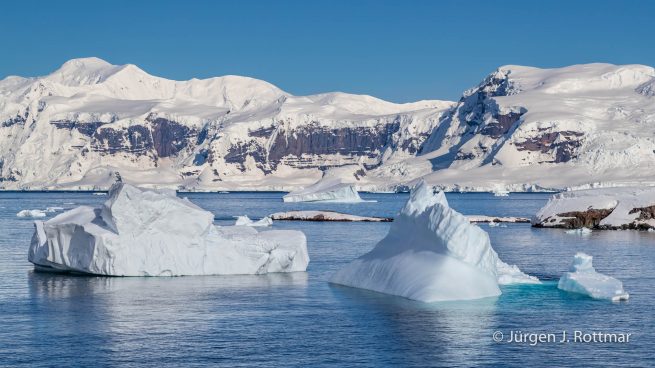 Antarktis Peninsula | Rongè Island | George's Point