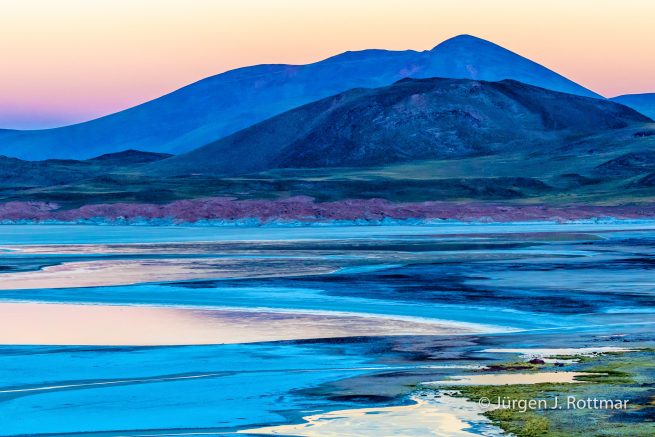 Chile | Laguna Salar de Talar (4'012 m)