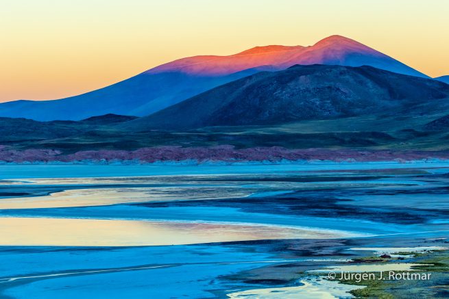 Chile | Laguna Salar de Talar (4'012 m)